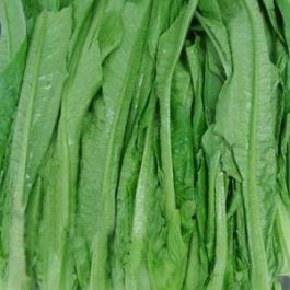 A CHOY / LB