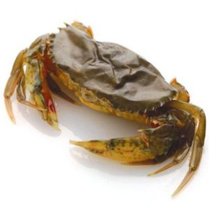 HCL - SOFT SHELL CRABS / 4 PCS