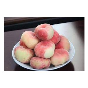 DONUT Peach / PER LB