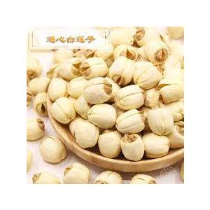 HAVISTA - LOTUS KERNEL