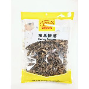 WISE WIFE HONEY FUNGUS
