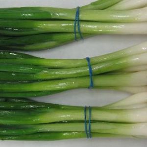 Green Onion / EA