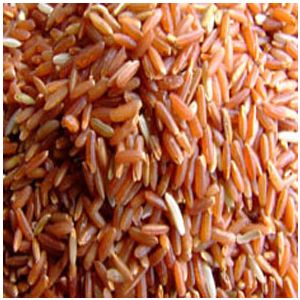 HAVISTA - WILD SWEET PINK RICE (5LBS)