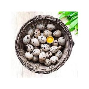 JOHNSON - FRESH QUAIL EGGS / 24PCS