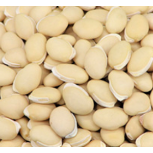 DRIED LENTIL BEAN