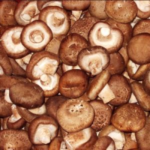 Fresh Shiitake Mushroom / LB