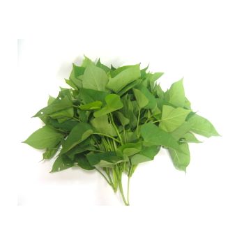YAM LEAF / LB