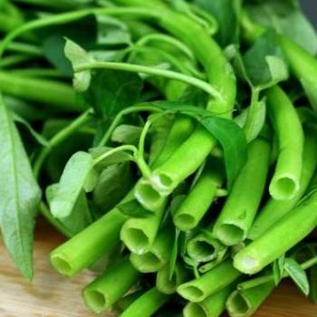 Ong Choy/LB