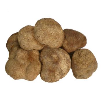 HFSZ - DRIED MUSHROOMS