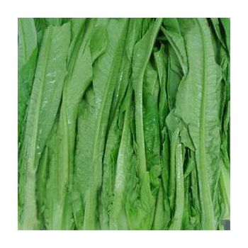 A CHOY / LB