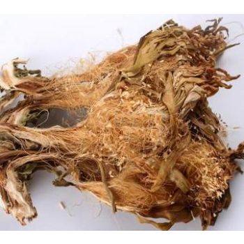 RHT - DRIED HYLOCEREUS FLOWER