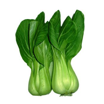 Shanghai Bok Choy / LB