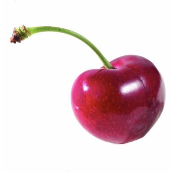 BING CHERRY / LB