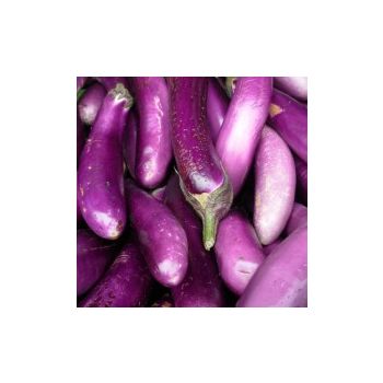 Chinese Eggplant / LB