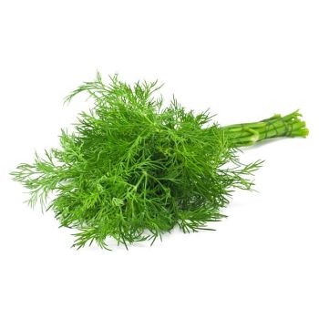 BABY DILL (EA)