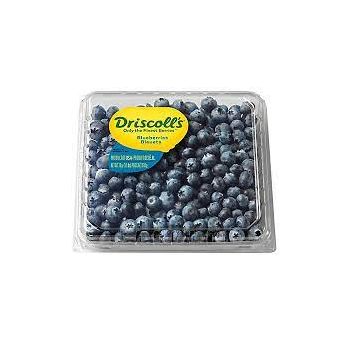 Fresh blueberries