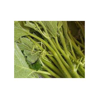 PUMPKIN LEAF