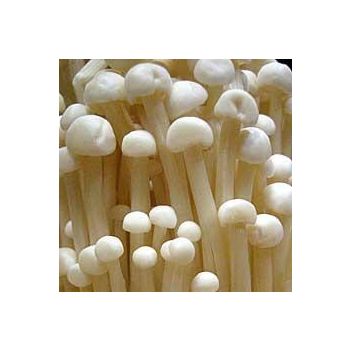 Enoki Mushroom (200G)