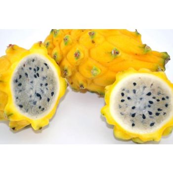 Yellow Dragon Fruit /2PCS