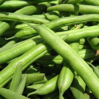 Green Beans / LB