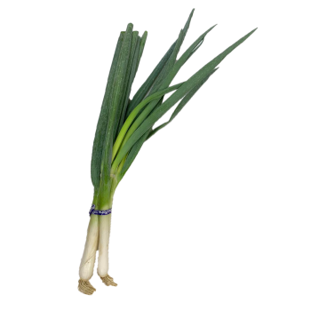 CHINESE GREEN ONION / LB