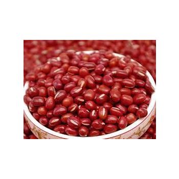 WISE WIFE - NORTH EAST RED BEANS