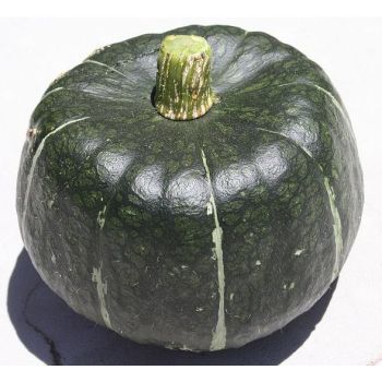 Kabocha Squash / LB