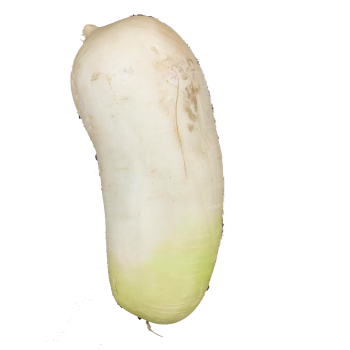 DAIKON KOREAN / LB