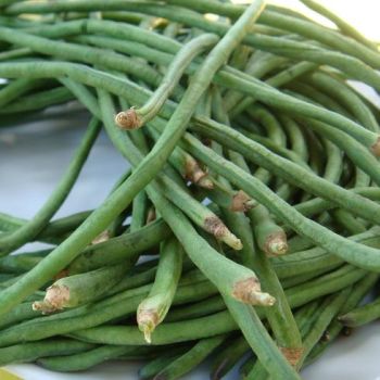 Long Beans / LB