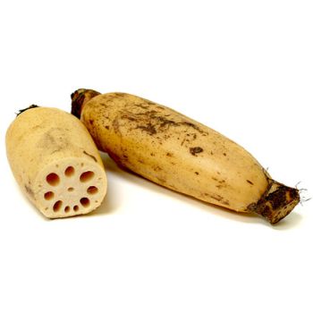 LOTUS ROOT (LB)
