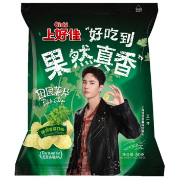 SHJ - POTATO CHIP MUSTARD FLAVOR