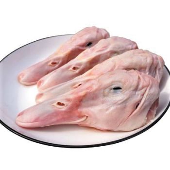 DUCK HEAD FRZ