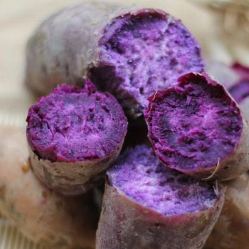 Purple Yam / LB