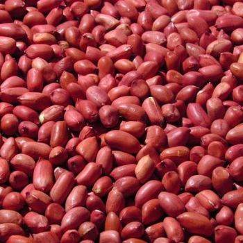 BULK RAW PEANUT / 3LBS