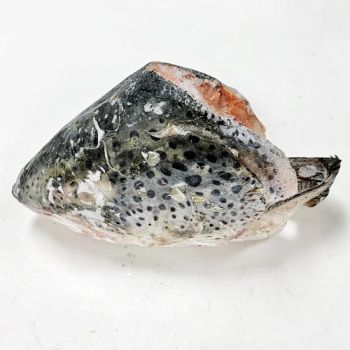 三文鱼头 （4.99 / 颗，$10.00 / 3颗）