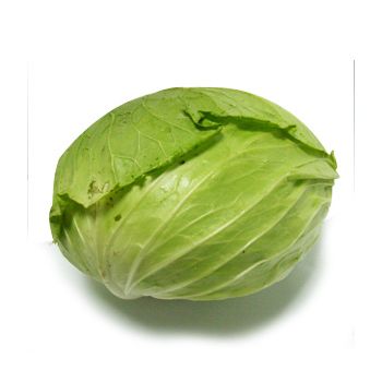 Taiwan Cabbage / LB