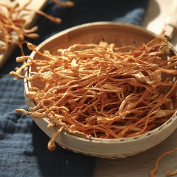 RHT - CORDYCEPS FUNGUS