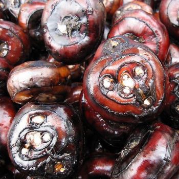 Water Chestnut / LB