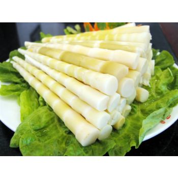 Bamboo Shoot Spring 